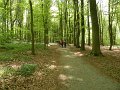 fotos_jos_herfelingen_2010_0013