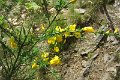 eifel_2015_margriet_013