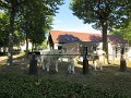 IMG_4922