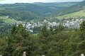 sauerland_2010_hans_347