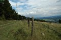 sauerland_2010_hans_366