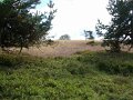 sauerland_2010_willy_033